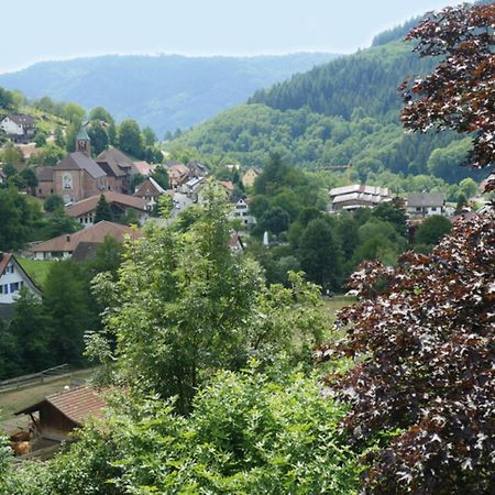Schnurrenhof Leilighet Seebach Eksteriør bilde