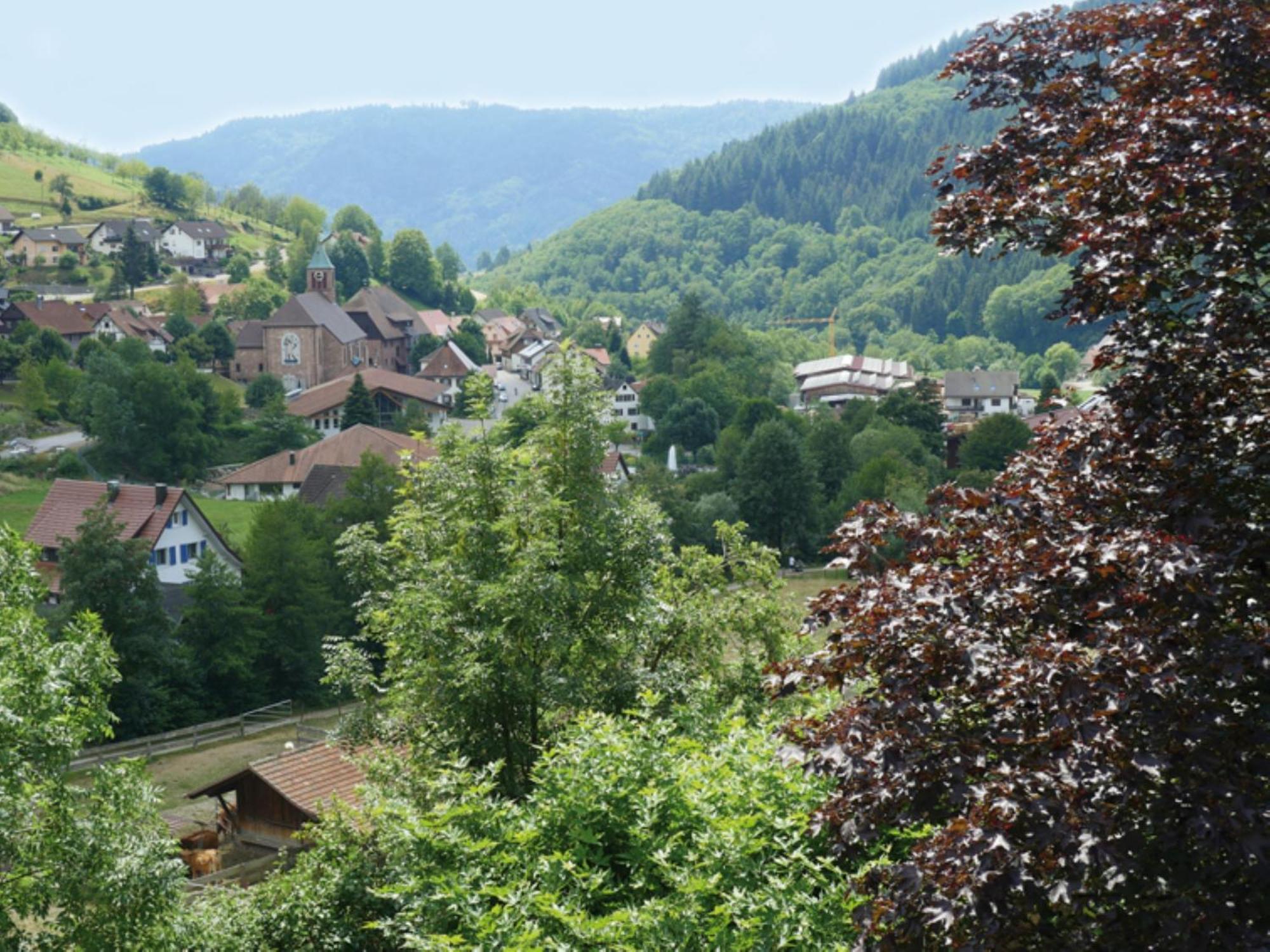 Schnurrenhof Leilighet Seebach Eksteriør bilde