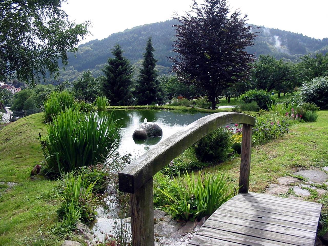 Schnurrenhof Leilighet Seebach Eksteriør bilde