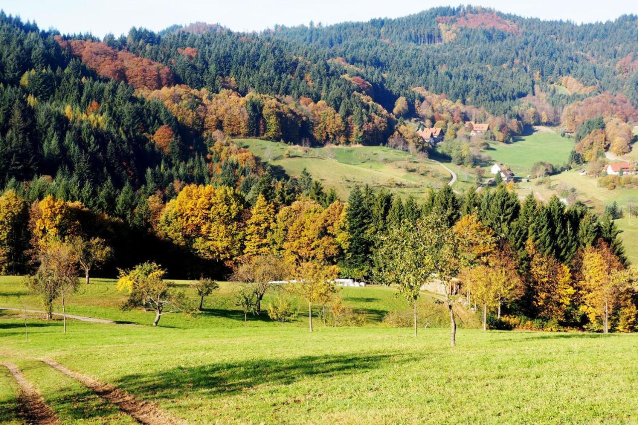Schnurrenhof Leilighet Seebach Eksteriør bilde