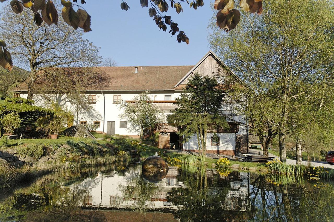 Schnurrenhof Leilighet Seebach Eksteriør bilde