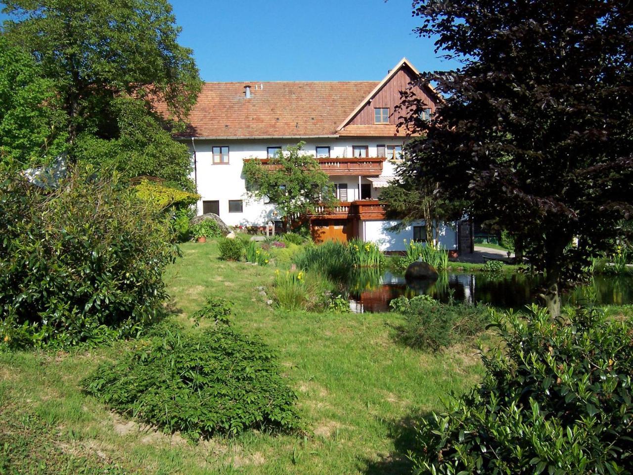 Schnurrenhof Leilighet Seebach Eksteriør bilde