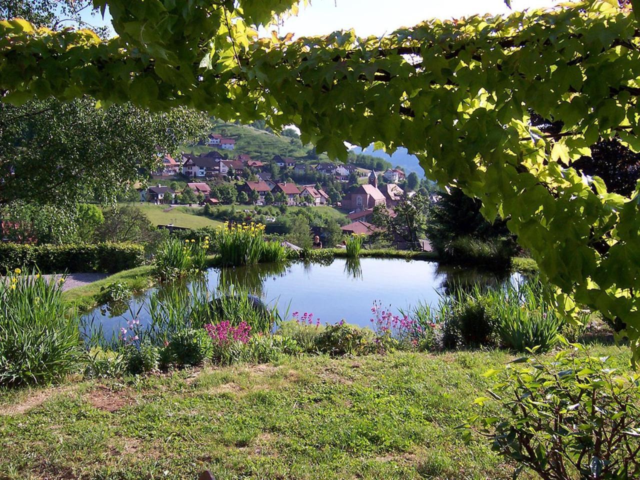 Schnurrenhof Leilighet Seebach Eksteriør bilde