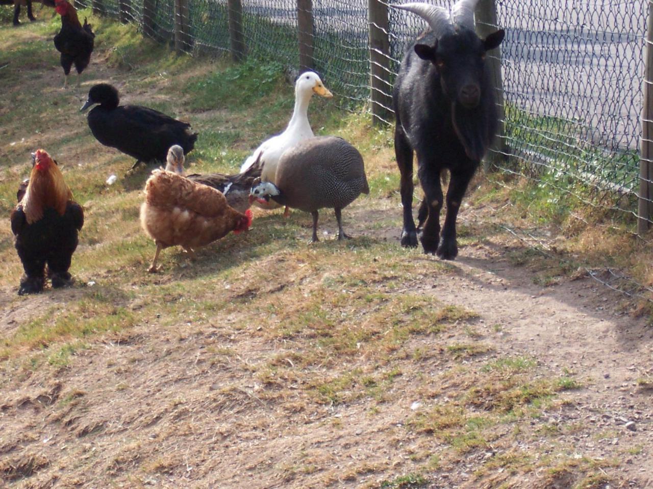 Schnurrenhof Leilighet Seebach Eksteriør bilde