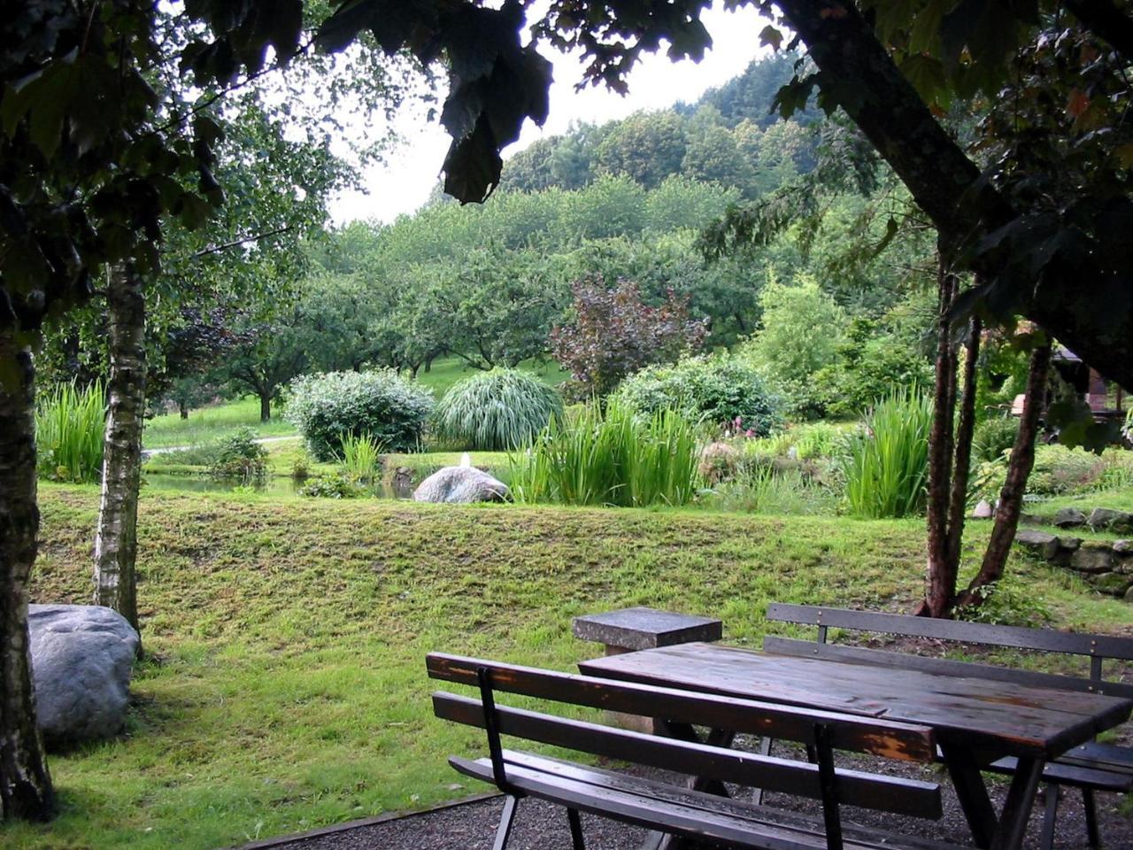 Schnurrenhof Leilighet Seebach Eksteriør bilde